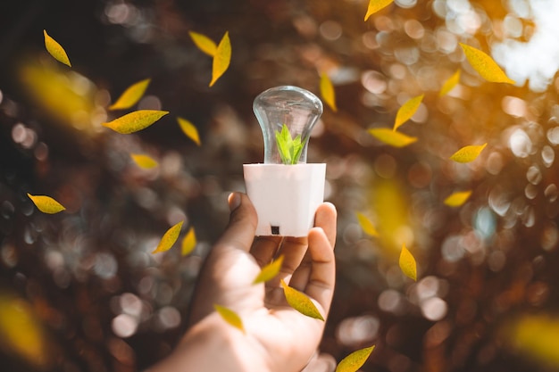 Photo cropped hand holding small potted plant in sunny day