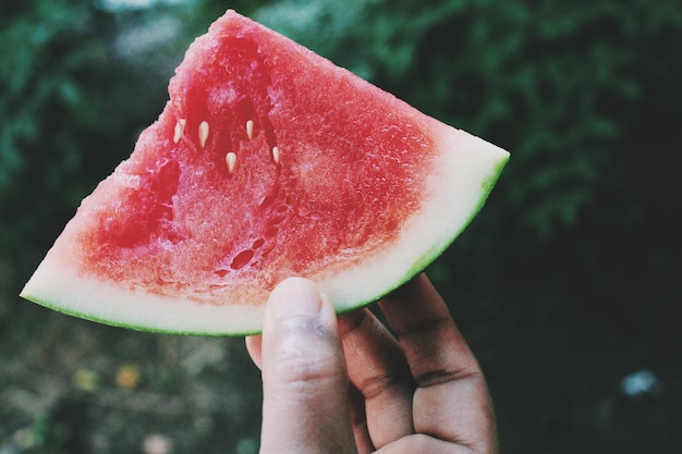 cropped hand of man holding watermelon