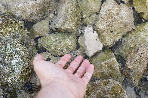 写真 海の岩によって切断された人の手