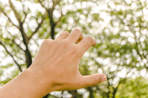 写真 木にたどり着く女性の切断された手