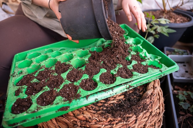 Foto mano tagliata di una persona che fa il giardinaggio