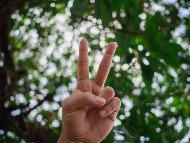 Foto mano tagliata di una persona che fa un gesto contro un albero