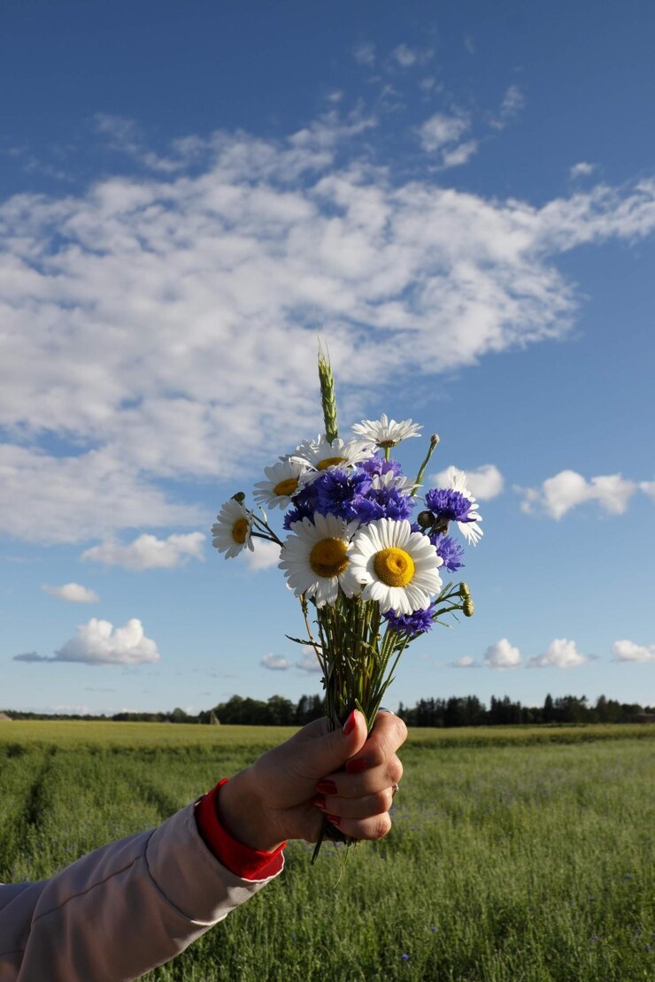 Photo cropped hand of person holding bouquet on field against sky