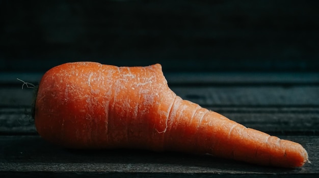 Foto mano tagliata di persona che tiene il cibo