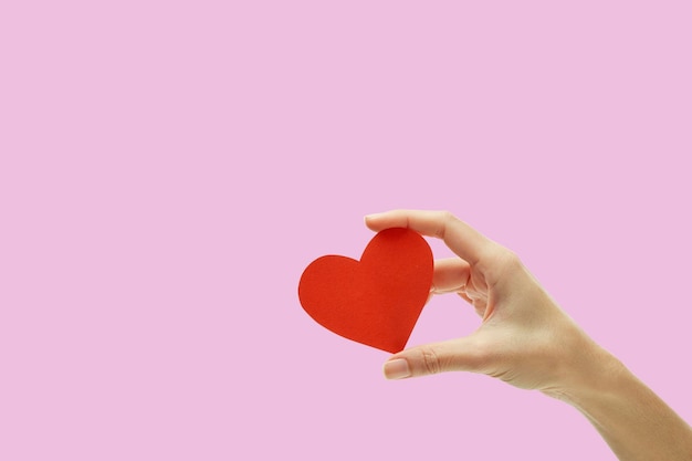 분홍색 배경 에 심장 모양 을 들고 있는 사람 의 절단 된 손