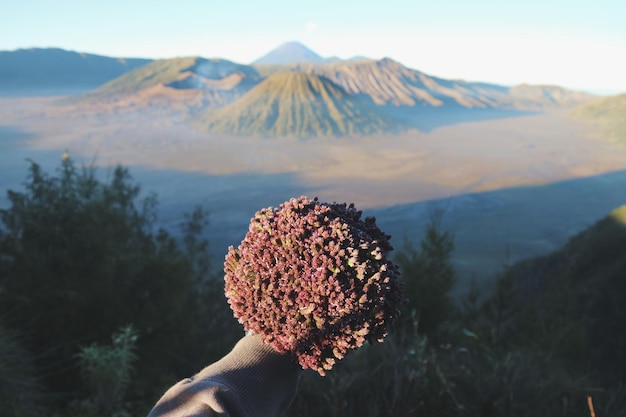 Foto mano tagliata di una persona che tiene una pianta sulla montagna contro il cielo