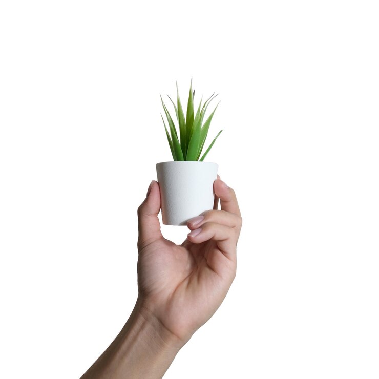 Photo cropped hand of person holding small potted plant against white background