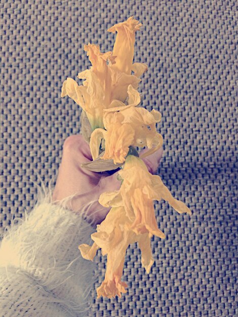 枯れた花を握っている人の手を切り取った