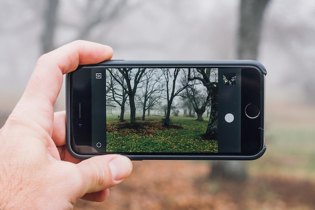 Foto mani tagliate che fotografano gli alberi con lo smartphone