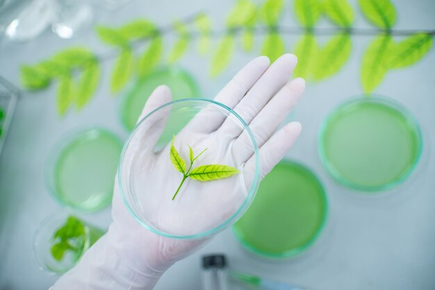 Foto mano tagliata di uno scienziato che indossa un guanto chirurgico mentre lavora in laboratorio