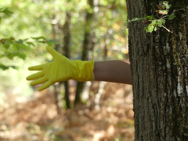 Foto mano tagliata che indossa un guanto da pulizia vicino al tronco dell'albero
