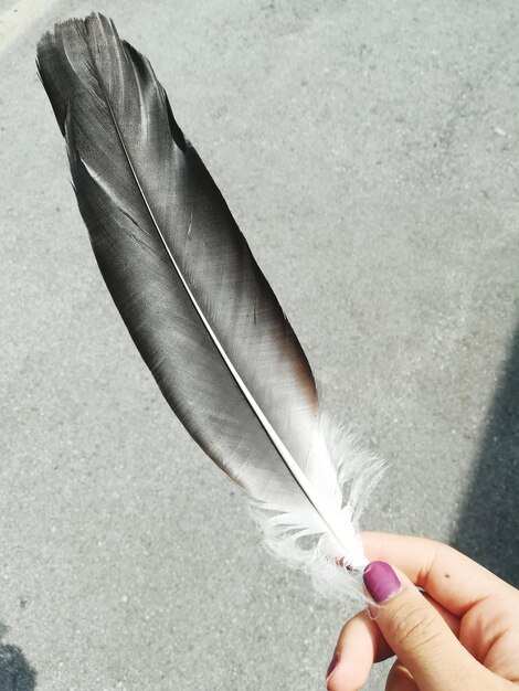 Foto la mano tagliata di una donna che tiene una piuma sulla strada