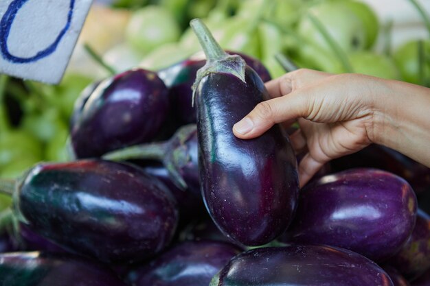 Foto mano tagliata o donna che tiene una melanzana viola fresca