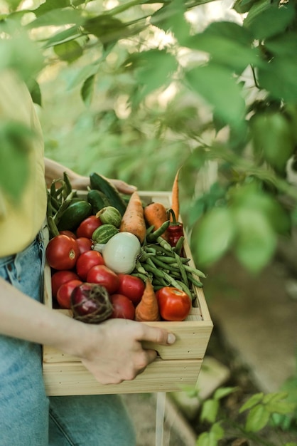 Foto mano tagliata di una donna che tiene un frutto