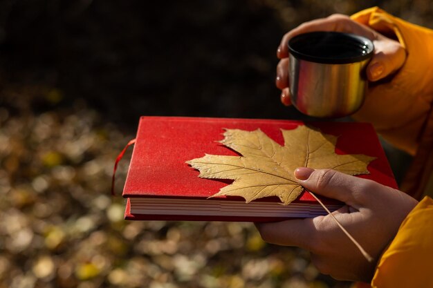 Photo cropped hand of woman holding gift box