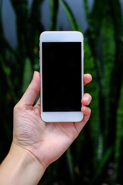 Cropped hand of woman holding mobile phone against plants