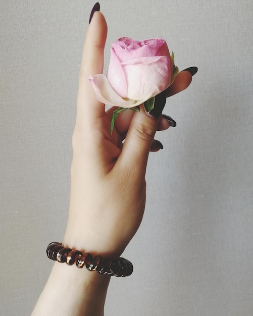 Foto mano tagliata di una donna che tiene una rosa rosa su uno sfondo grigio