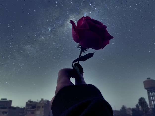 Foto la mano tagliata di una donna che tiene una rosa contro il cielo