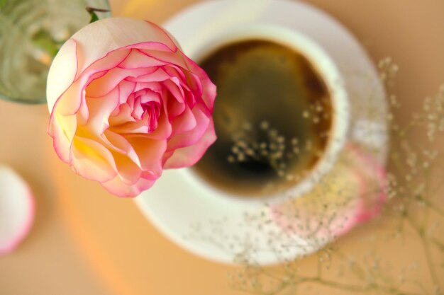 Foto mano tagliata di una donna che tiene una rosa