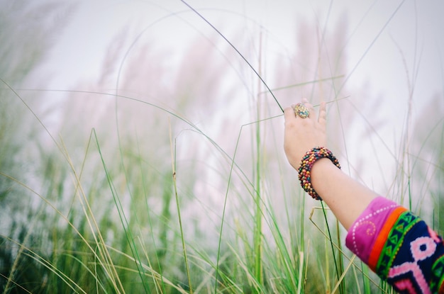cropped hand of woman touching grass
