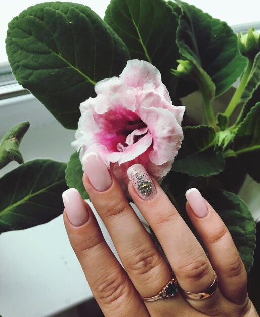 Cropped hand of woman touching pink flower