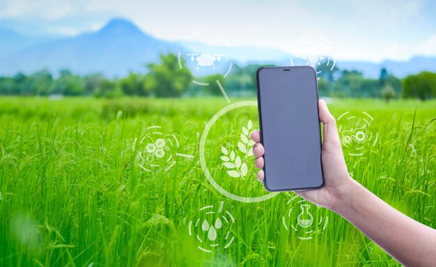 Cropped hand of woman using mobile phone