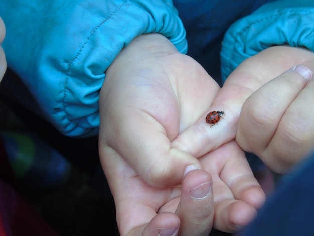 Foto mani tagliate di un bambino con una coccinella sul dito