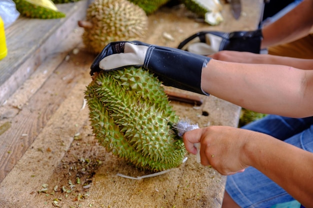 Photo cropped hands cutting fruit