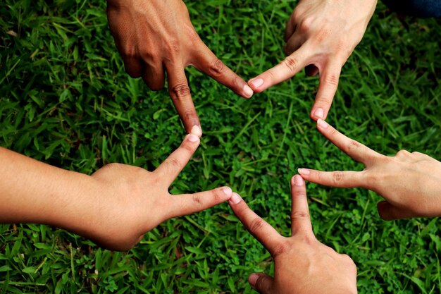 Foto mani tagliate di amici che gesticolano sulla terra erbosa