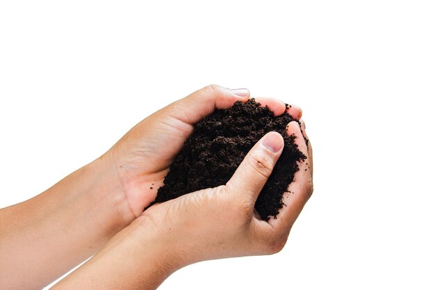 Cropped hands holding soil against white background