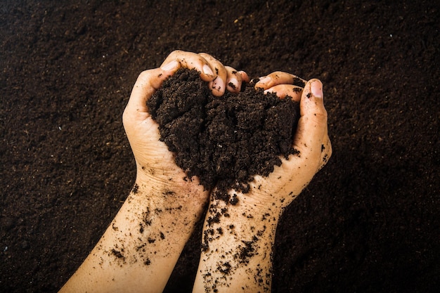 Photo cropped hands holding soil