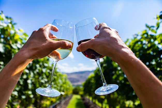 Cropped hands holding wineglasses against sky