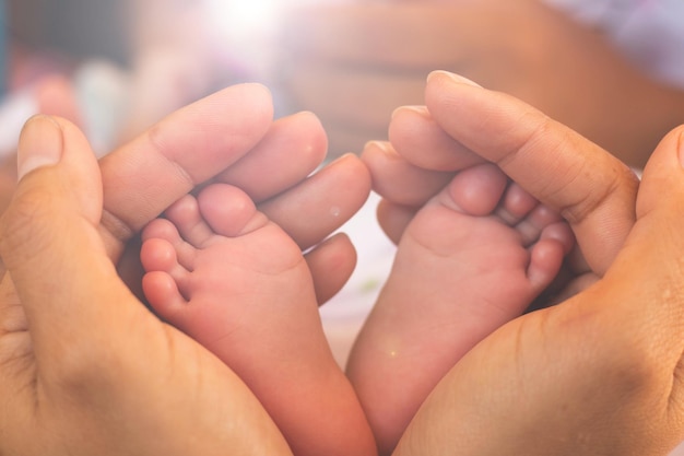 Cropped hands of man holding baby feet