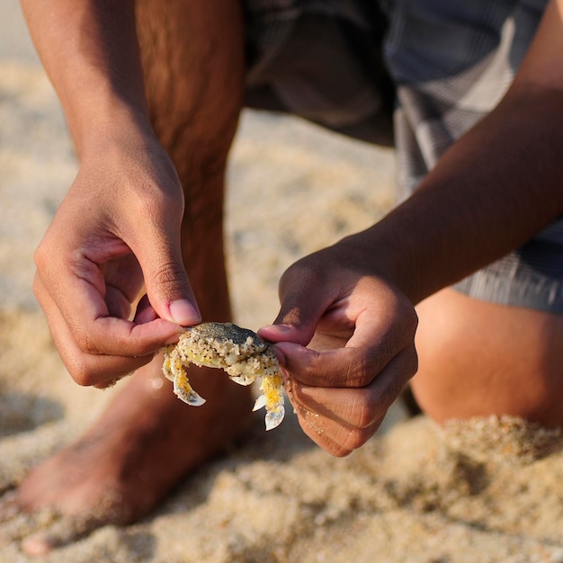Foto mani tagliate di un uomo che tiene un granchio sulla spiaggia