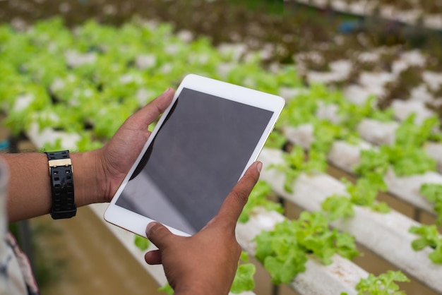 사진 농장 에 있는 작물 들 에 의해 디지털 태블릿 을 들고 있는 농부 의 손 을 잘라낸 것