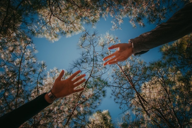 Photo cropped hands of people reaching against tree