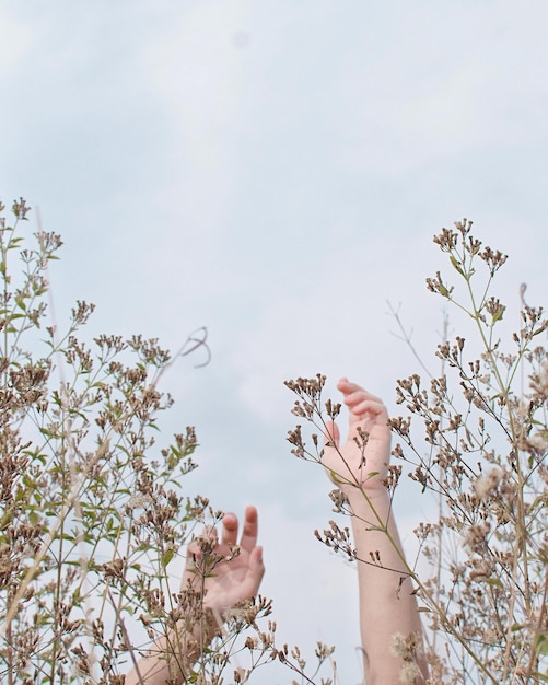 Cropped hands of person amidst plants against sky