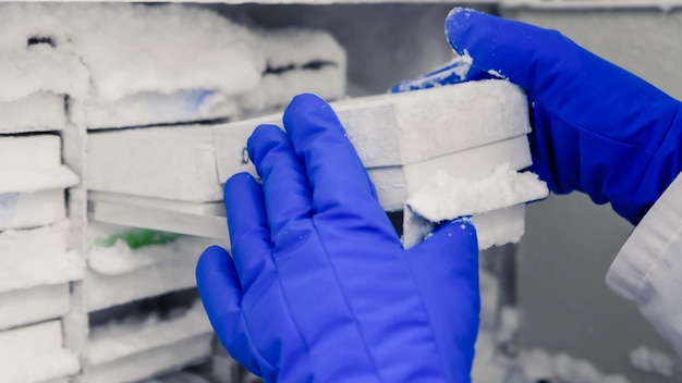 Photo cropped hands of scientist holding container in refrigerator