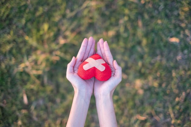 Cropped hands of woman holding red heart shape with bandages decoration on land