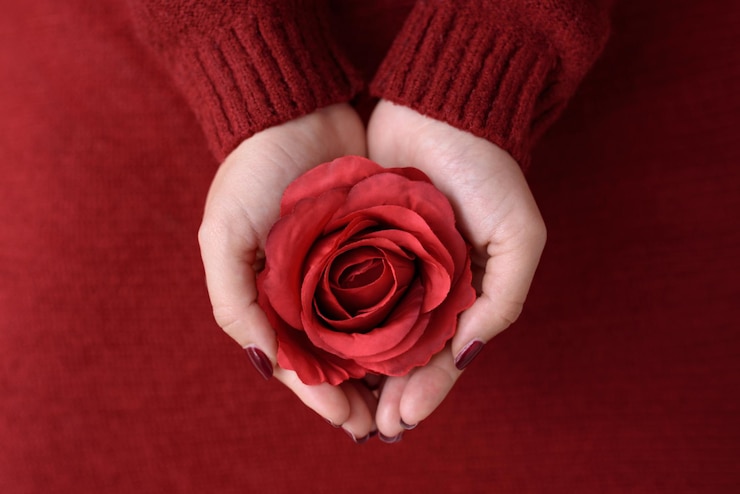 Photo cropped hands of woman holding red rose at table