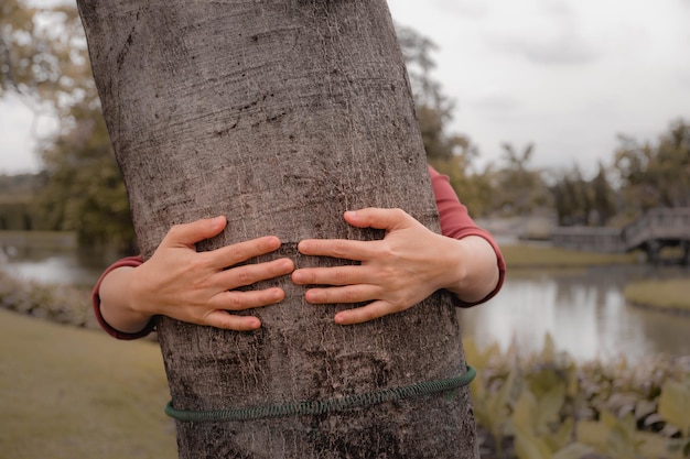 Cropped hands of woman holding tree trunk on field