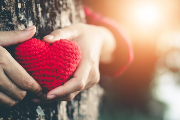 Photo cropped hands of woman holding woolen heart shape against tree trunk