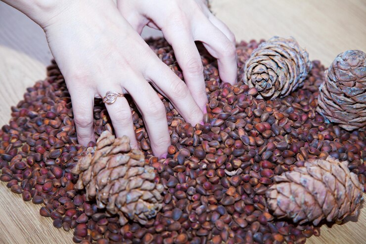 Photo cropped hands of woman with seeds and pine cones on table