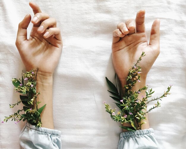 Photo cropped hands of young woman with leaves on bed