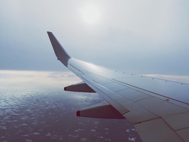 Cropped image of airplane flying over landscape