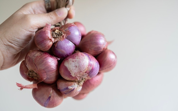 Cropped image of Asian woman hand holding red onion bunch with light beige background