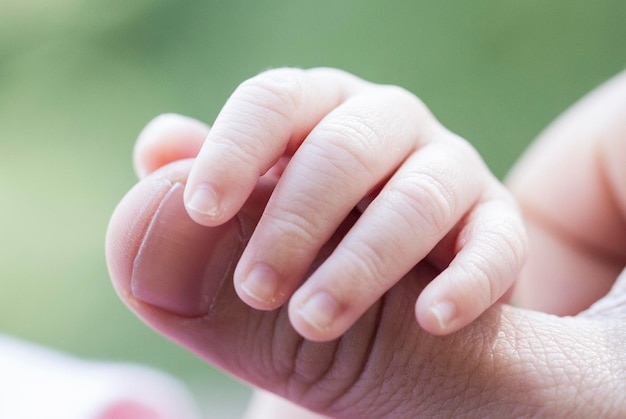 Photo cropped image of baby holding mother thumb