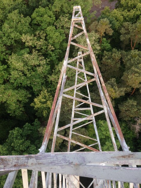 Foto immagine ritagliata del ponte contro gli alberi