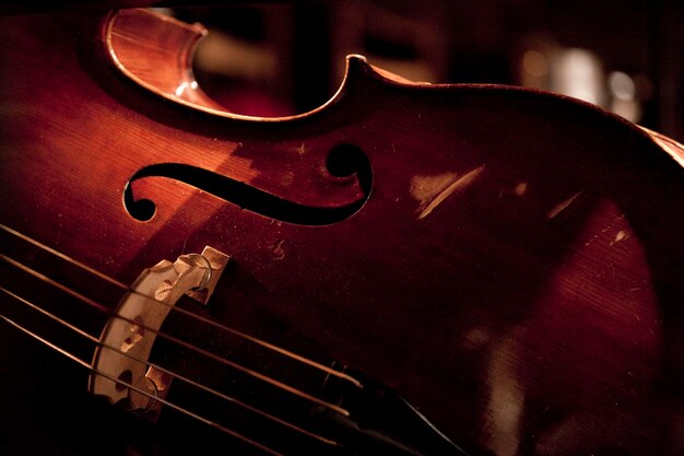 Photo cropped image of double bass