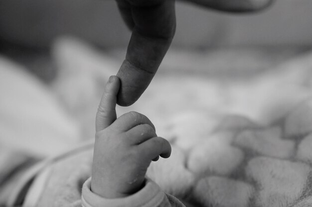 Photo cropped image of father touching baby finger